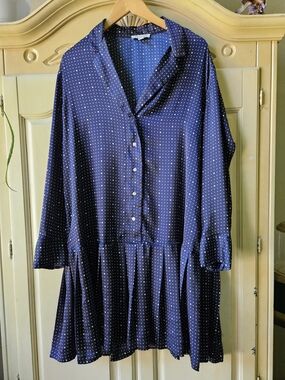 Polka Dot Navy Button-Down Long Sleeve Dress